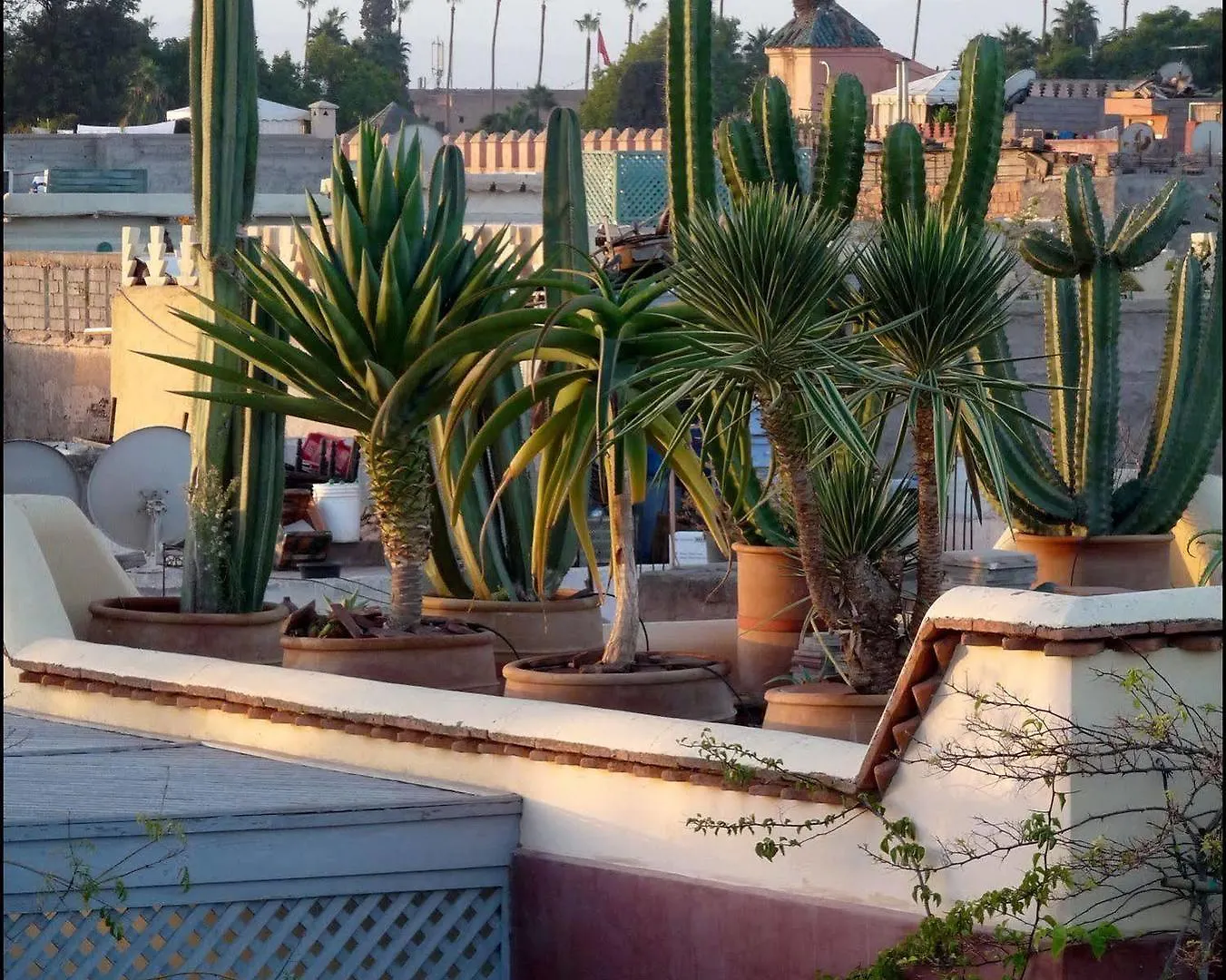 Riad Noos Noos Marrakesh 3*,  Marruecos